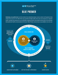 For your reference, the cpt codes for the most common behavioral health services are defined below. Introducing Blue Premier Redefining What Is Possible In Health Care Point Of Blue