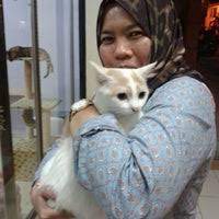 Specialize in vet clinic, animal vaccination and injured animal. Mesra Pet Shop Animal Shelter