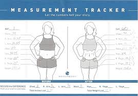 Body Measurement Tracking Chart For Download In Pdf Or Excel Body Measurement Tracker Body Measurement Chart Omni Drops
