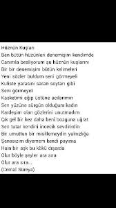 Canimla Besliyorum Su Huznun Kuslarini Cemal Sureya Kasket Siir Su