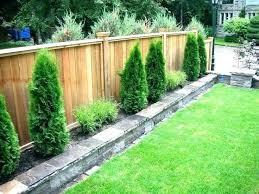 Officinalis are edible and can be used to season grilled meats and roasted potatoes. Shrubs To Plant Along Fence Best Plants For Fence Line Trees To Plant Along Fence Privacy Trees A Small Backyard Landscaping Small Garden Fence Backyard Fences
