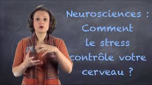 Il provoque une augmentation des besoins de sang au niveau du coeur et parallèlement, une. Comment Votre Cerveau Bascule Sous L Effet Du Stress Video Blog 17 Youtube