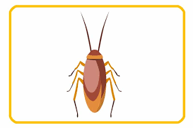 Aside from ridding your property of pests, they can also help you maintain your washroom facilities with the help of their. á Pest Control Edmonton Best Pest Exterminators