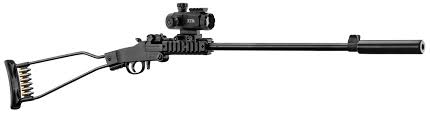 Chiappa Little Badger .22 LR