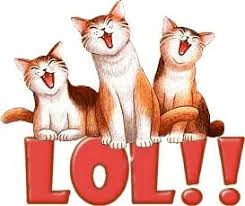 R�sultat de recherche d'images pour "gif rire anim�"