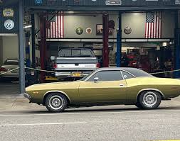 Image result for Golden Fawn 1974 Challenger