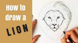 Learn how to draw lions in less than 8 minutes! Beginners How To Draw A Lion Youtube