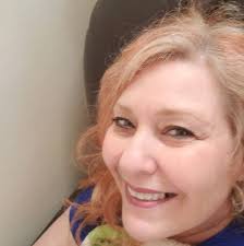 How to stop a rescue dog from being reactive and aggressive to company?