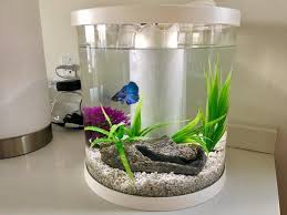 Bettaflo Soothe Tank Betta Aquarium 3 Gallon Fish Tank Pet Spray