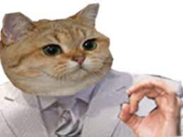 Each item is a valuable piece of art representing a cultural heritage passed on from generation to generation. Sticker De Seankevan Sur Zemmour Ericzemmour Eric Chat Cat Cato Miaou Risitas Costume Cravate Patron Main Signe Sticker Id 87204