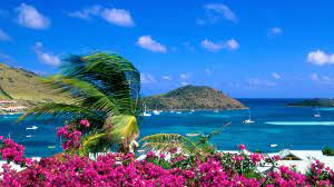 Please contact us if you want to publish a pc wallpaper on our site. Free Download Wallpaper For Desktop Background Download Beach Images Free Pc 1920x1080 For Your Desktop Mobile Tablet Explore 77 Free Background Images For Pc Free Wallpaper Backgrounds Free Images