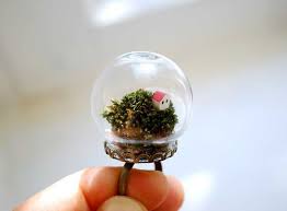 Terrarium Ring Terrarium Jewelry Miniature Globe Ring Natural Moss With Tiny House Globe Terrariu Terrarium Jewelry Beautiful Terrariums Delicate Rings