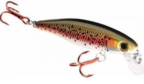 We did not find results for: 10 Best Trout Lures In 2021 Tested And Reviewed By Fishing Enthusiasts Globo Surf