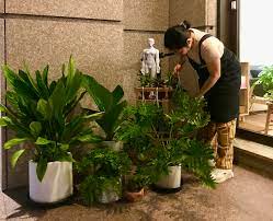 花若盛開蝴蝶自來 下一句是 plants