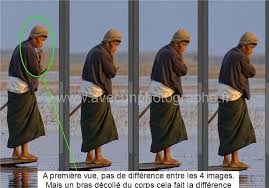 Ce service gratuit de google traduit instantanément des mots, des expressions et des pages web du français vers plus de 100 autres langues. Comment Trier Ses Photos Et Devenir Un Meilleur Photographe Phil Body