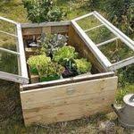 Vegetable Garden