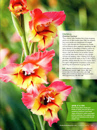 Garden gate flowers mason city iowa. Heirloom Bulbs Garden History Blog