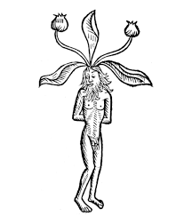 Aesthetic coloring pages printable for teens kids to print christmas adults free. Download Free Coloring Books From 113 Museums Open Culture