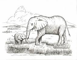 Check spelling or type a new query. Mother And Baby Animal Drawing Novocom Top