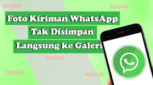 Tak Lagi Memenuhi Memori Cara Agar Foto Dari Whatsapp Tidak Langsung Masuk Galeri Youtube