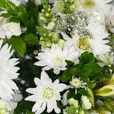 Maybe you would like to learn more about one of these? Cut Flower Bunch White Bouquet The Flower Farm