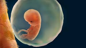 Bevor die moderne technik durch dinge wie den ultraschall einzug in der schwangerschaftsvorsorge hielt, erfuhren die frauen erst während der. 9 Ssw Schwangerschaftswoche Onmeda De