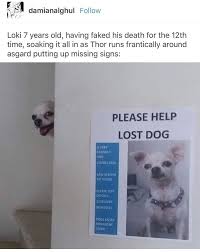 Pinterest Yelis Marvel Funny Marvel Memes Warrior Cat