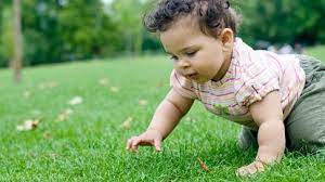 Crawling When Do Babies Crawl