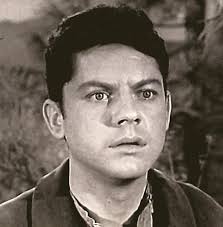 The Lieutenant Burton Story (1962)