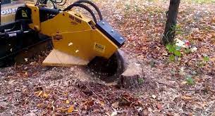 A Tree Stump Grinder Pulverizing A Stump Is Poetry In Motion Tractor