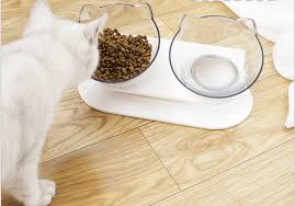 Memilih makanan kucing berkualitas baik penting untuk memastikan bahwa kucing anda mendapatkan semua nutrisi yang ia butuhkan. Juejie Catz Bekas Makanan Hot Seller Kucing Comel Facebook