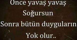 Once Yavas Yavas Sogursun Sonra Butun Duygularin Yok Olur Yalniz Adam Ask Sozleri Anlamli Sozler Guzel Soz Duygular Kitap Kenari