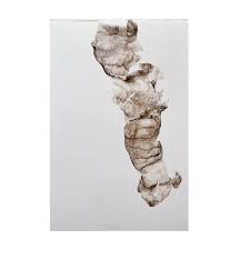 Bildergebnis für Maria Laet