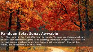 Shalatberjamaah adalah shalat yang di kerjakan secara. Solat Sunat Awwabin Digital Architect From Kuala Lumpur Malaysia