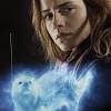 Harry potter and the prisoner of azkaban introduced the idea of the patronus charm in harry potter canon. Https Encrypted Tbn0 Gstatic Com Images Q Tbn And9gcqxaa2namdudhbttyctjlq9wtp4274ocvl4wgrolxpjzcg4fjsl Usqp Cau
