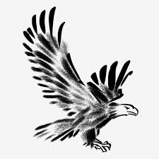 Burung kicau makin popular saja, saat ini sudah banyak orang yang menjadikan burung kicau sebagi hobi. Gambar Dakwat Lukisan Eagle Helang Helang Hitam Helang Bersayap Tangan Helang Yang Ditarik Helang Dakwat Png Dan Psd Untuk Muat Turun Percuma