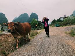 What do you call a twitchy cow? Kickass Beef Jerky Instagram Posts Picuki Com