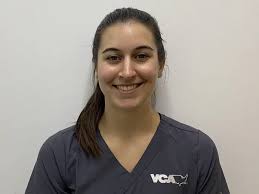 VCA Sawmill Animal Hospital