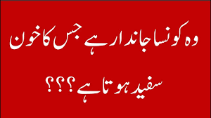 Paheliyan In Urdu With Answer Riddles General Knowledge Questions Iq Tes In 2020 This Or That Questions General Knowledge Riddles