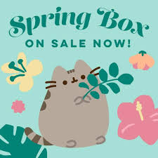 Pusheen Box Spring 2020 Theme Spoilers Hello Subscription Pusheen Box Pusheen Box Spring