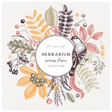 Herbarium kostenlose vorlagen / herbarium vorlage zum ausdrucken : Hand Skizzierte Herbstblatter In Farbe Elegante Und Trendige Botanische Vorlage Mit Herbstlaub Beeren Samen Und Vogelskizzen Perfekt Fur Einladung Karten Flyer Menu Etikett Verpackung Premium Vektor