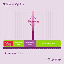 Der schleimhöhepunkt ist der tag im zyklus mit der individuell besten zervixschleimqualität, gefolgt von drei tagen mit schlechterer schleimqualität. Nfp Einfuhrung In Die Naturliche Familienplanung Cyclotest