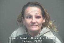 BANE, SHAWNMARIE ELIZABETH DANIELLE Charges: DOMESTIC ASSAULT VIOLATION OF  ORDER OF PROTECTION This information and more is available at https://  apps.myocv.com/share/a95737804