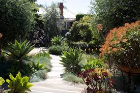 Boldsimplicity Award Winning Eco Friendly Garden Design In Victoria Australia Massed Plantings Jux Australian Garden Native Garden Garden Landscape Design