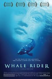 Whale and Dolphin Watch New Zealand