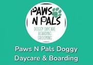 PAWS N PALS DOGGY DAYCARE - Updated May 2024 - 1693 Robert C Byrd ...