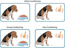 Image result for how could classical conditioning be used to prolong the efficacy of drug treatment programs