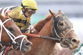 Sep 11, 2021 · how many years old are horses that run in the kentucky derby? Kentucky Derby Trivia Test Your Knowledge Of The Runs For The Roses