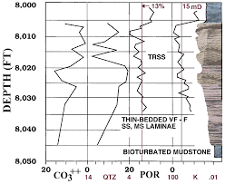 Figures 28 36 3 D Reservoir Characterization