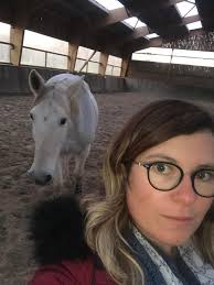 Demi-Pension Poneys et Chevaux en Bretagne (22/29/35/56)